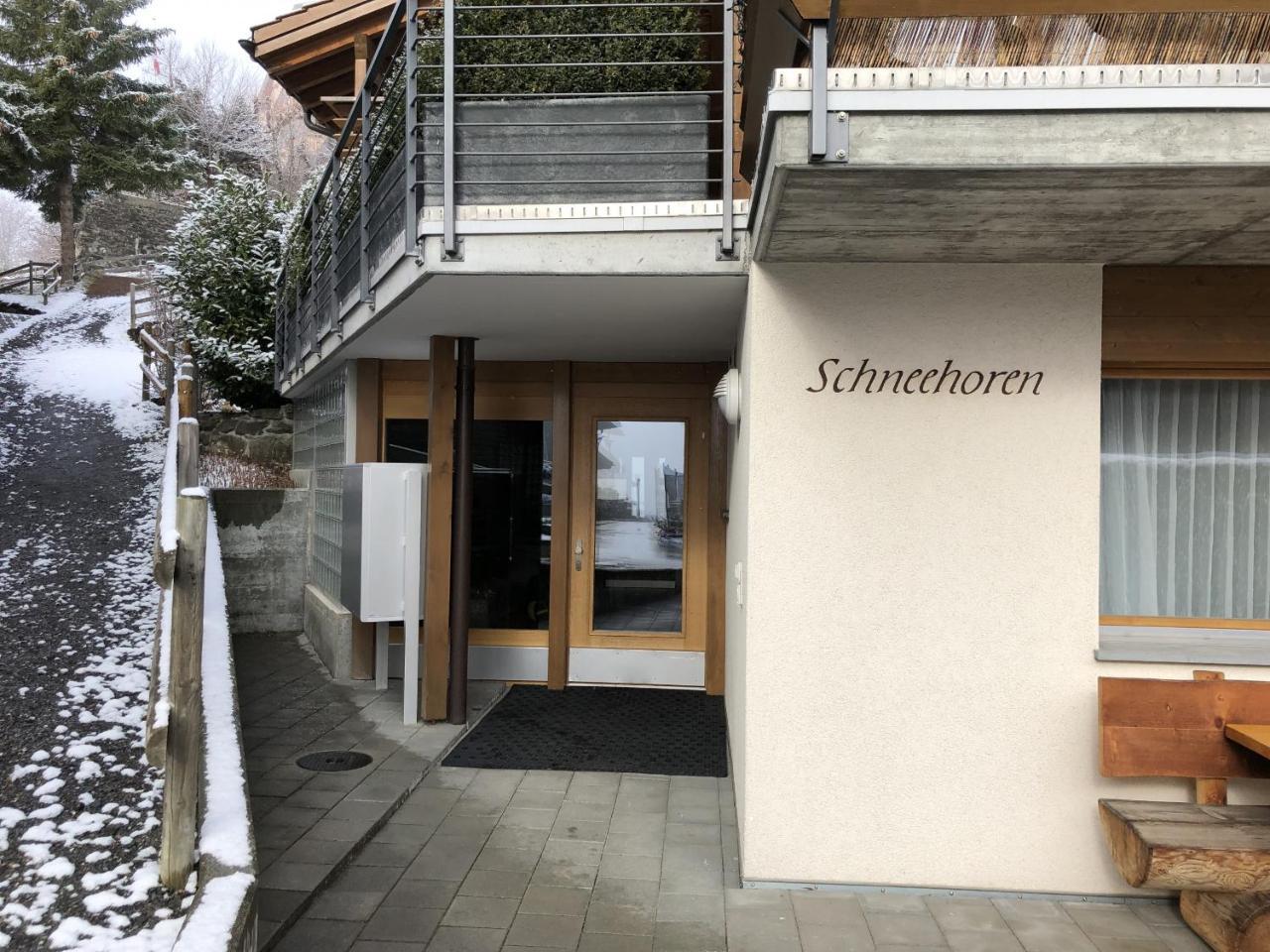 Chalet Schneehoren Penthouse Wengen Exterior foto
